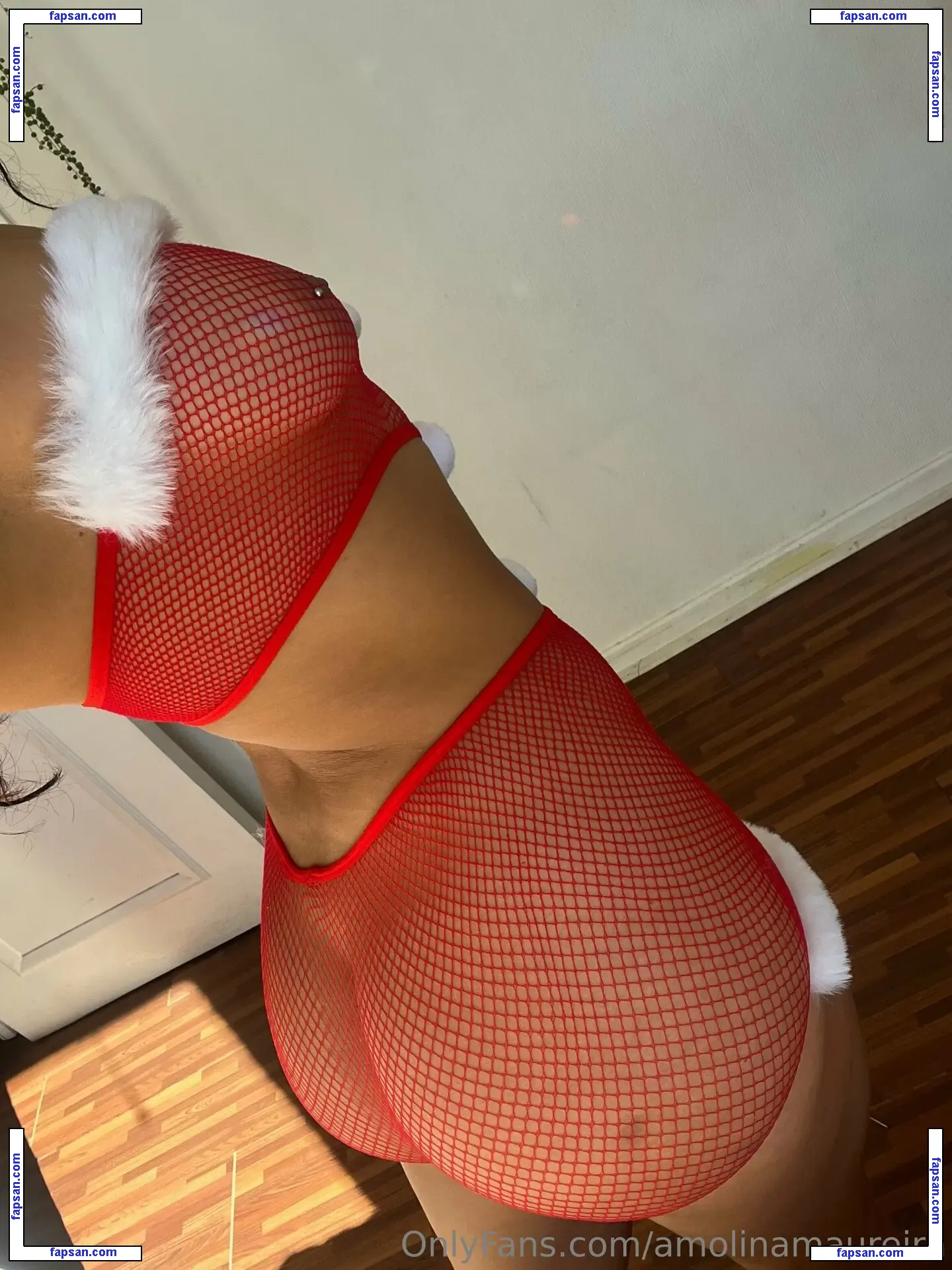 annmaurei nude photo #0007 from OnlyFans