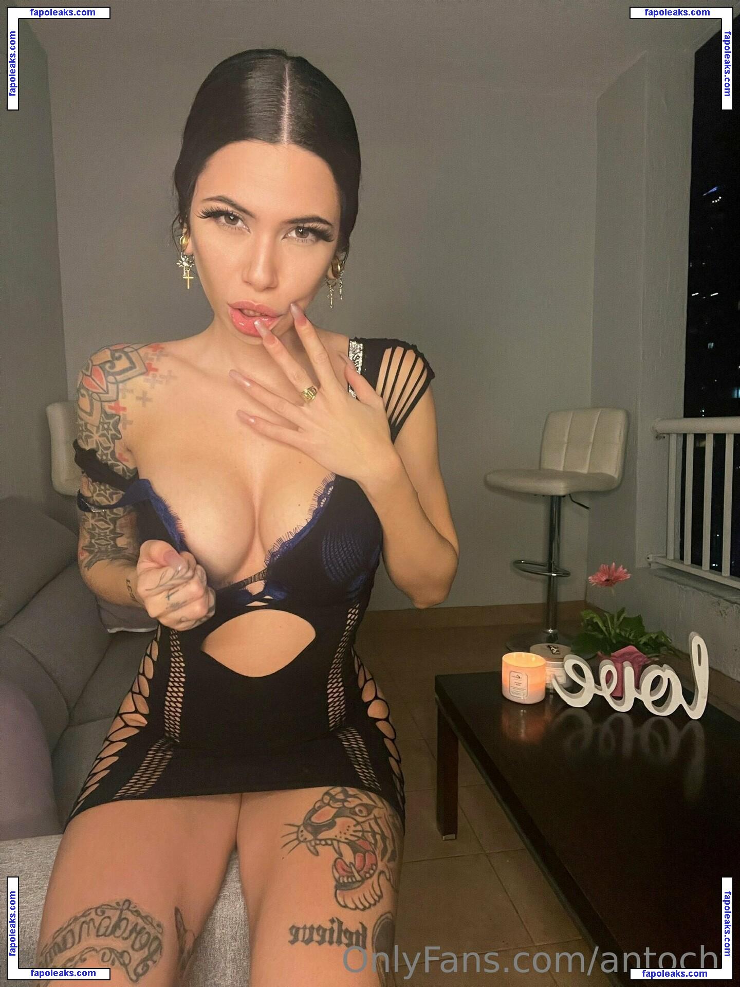 antocht / ant.ocht nude photo #0004 from OnlyFans