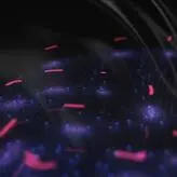 Antonella Kahllo nude #0115