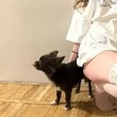 Appolix голая #0025