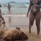 Ariane Araújo голая #0003