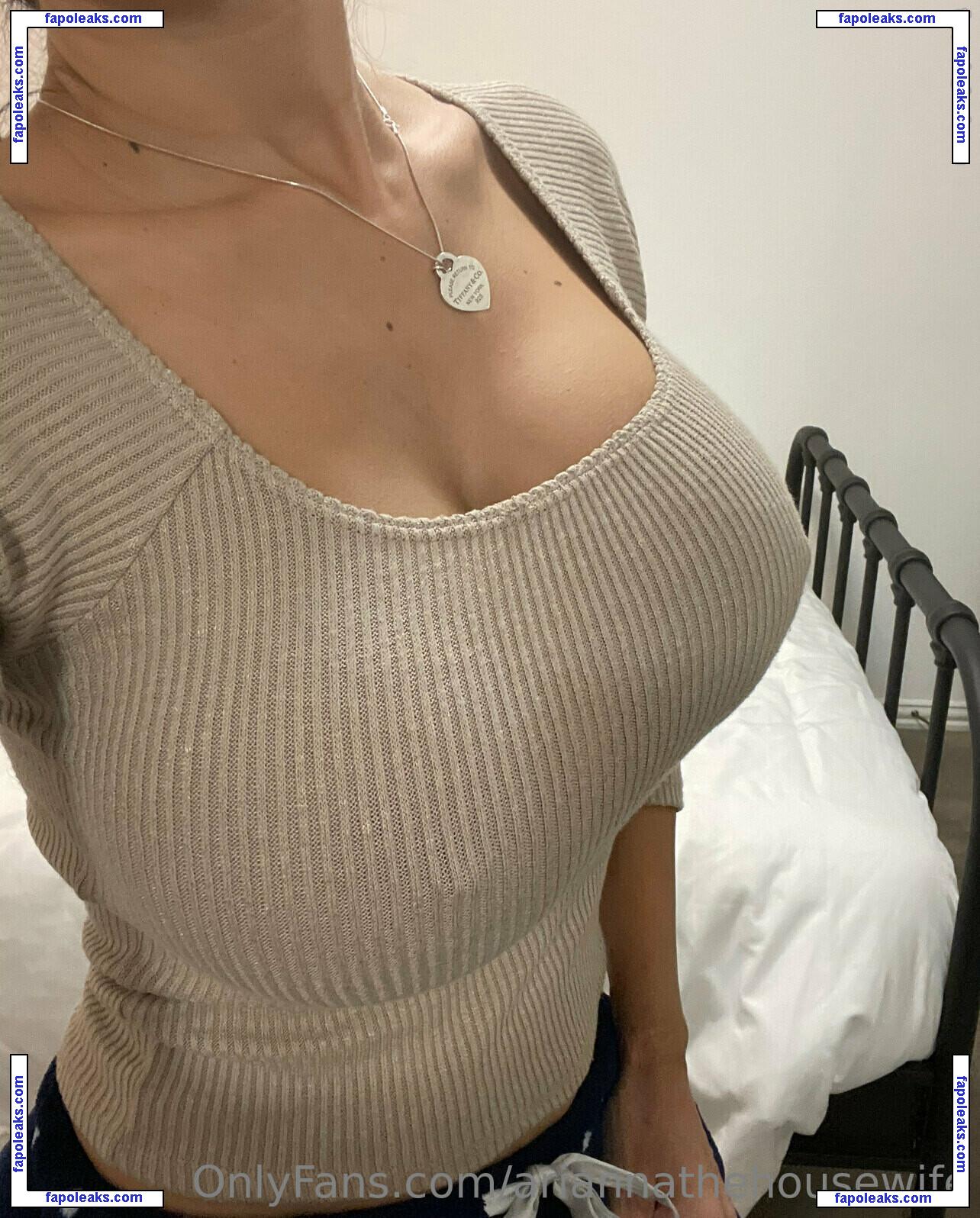 ariannathehousewife nude photo #0018 from OnlyFans