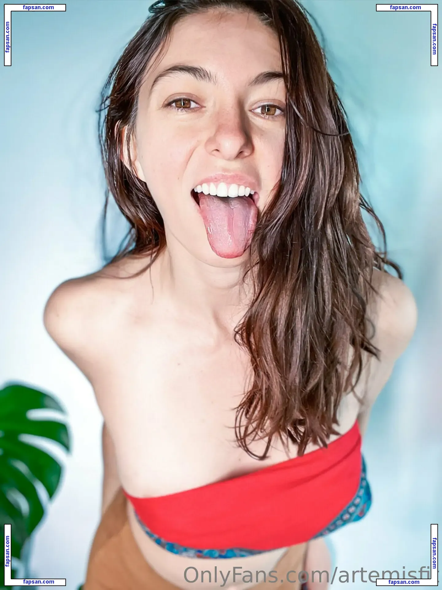 artemisfit nude photo #0066 from OnlyFans