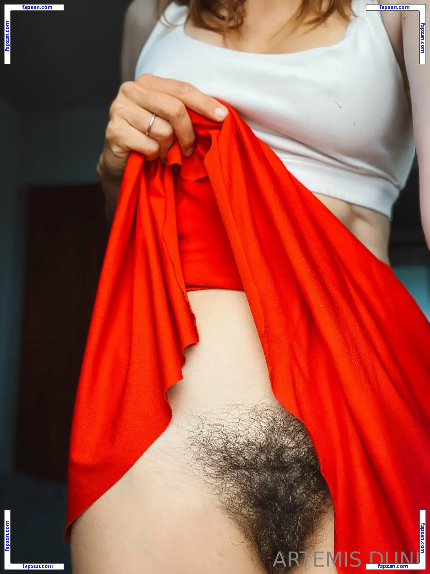 artemisfit nude photo #0077 from OnlyFans