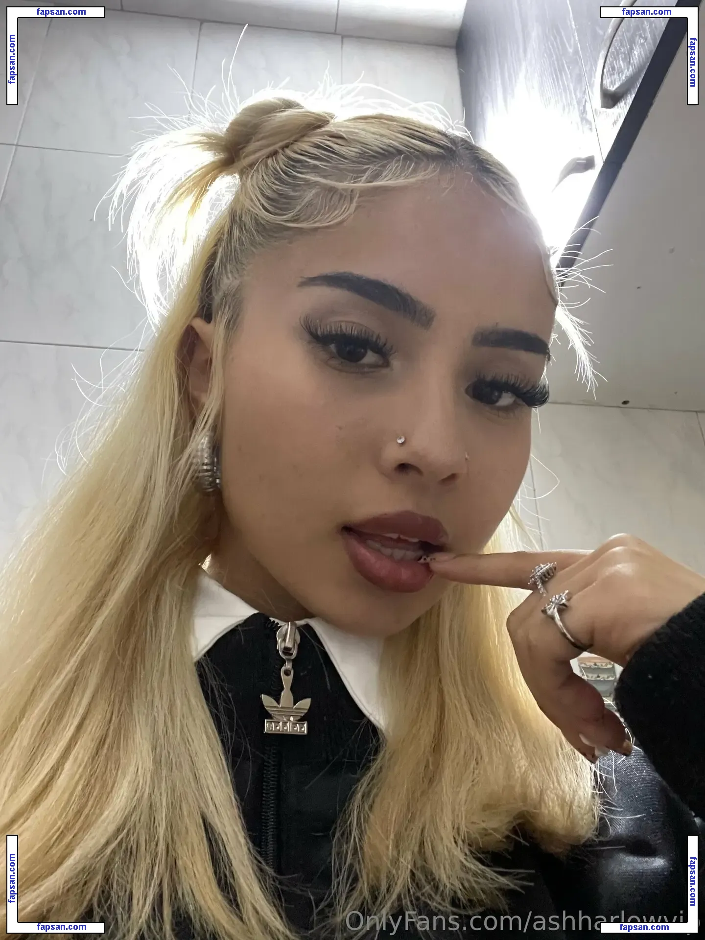ashharlowvip nude photo #0015 from OnlyFans