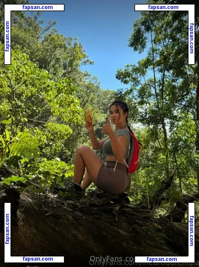 ashleimichelle nude photo #0006 from OnlyFans