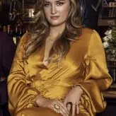 ashleyjohnson nude #0012