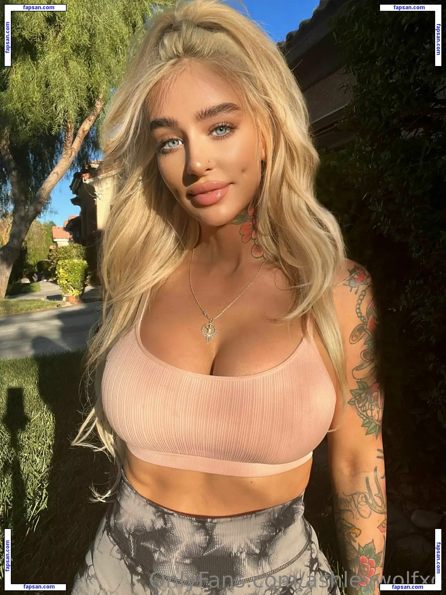 ashleywolfxo nude photo #0129 from OnlyFans