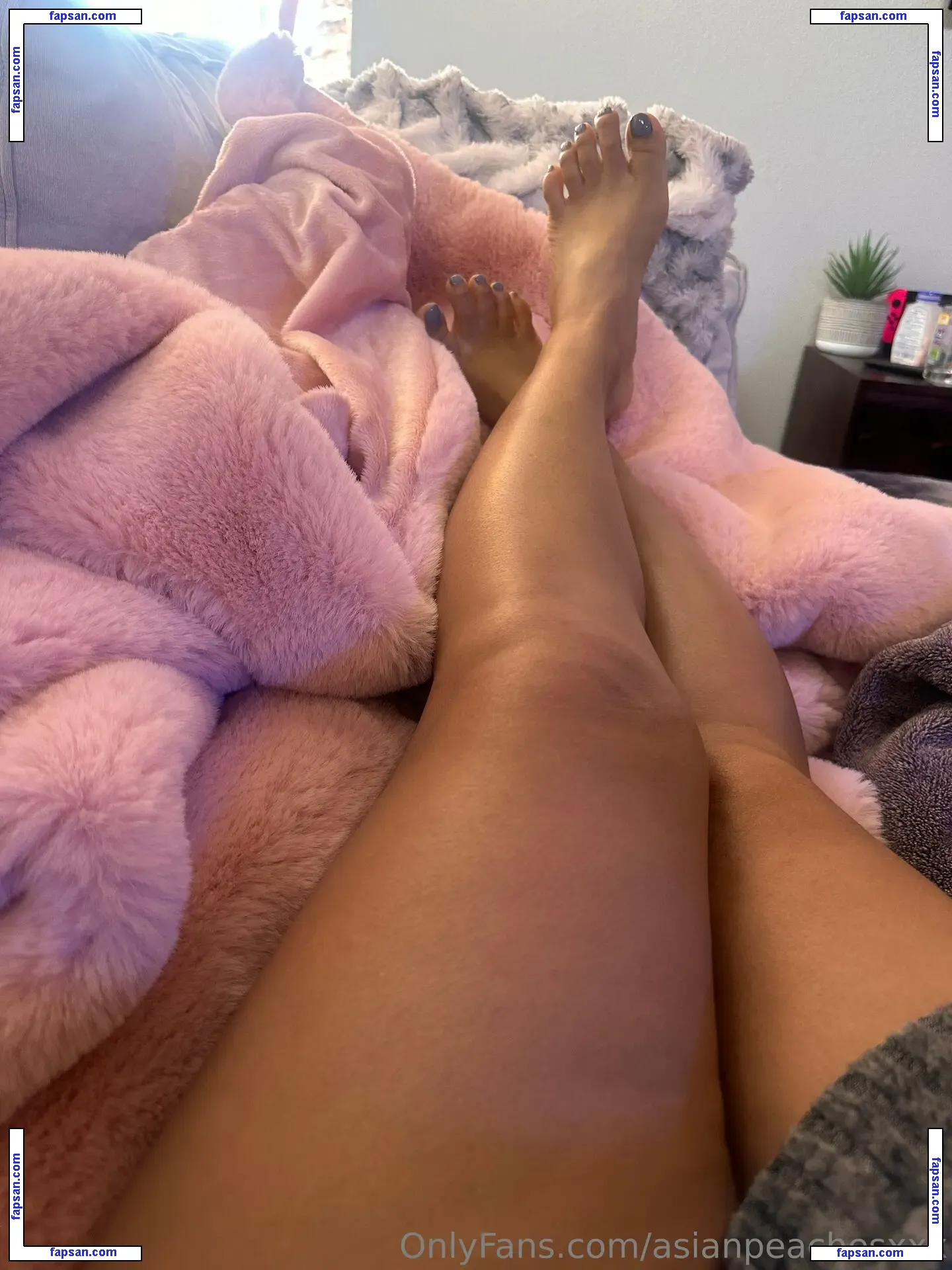 asianpeachesxxx nude photo #0010 from OnlyFans