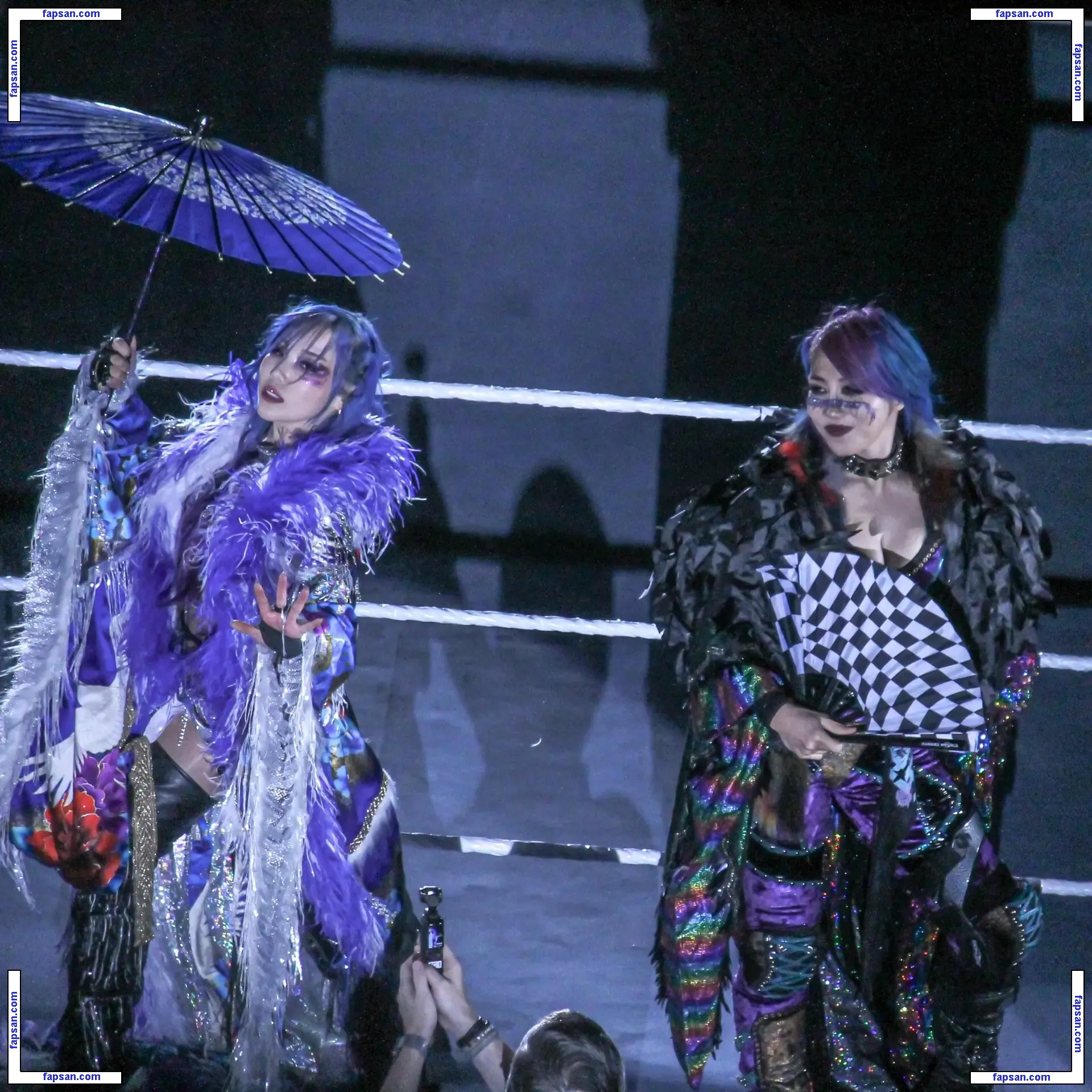 Asuka WWE nude photo #0047 from OnlyFans