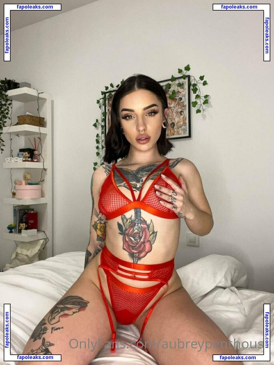 aubreypenthouse nude photo #0041 from OnlyFans