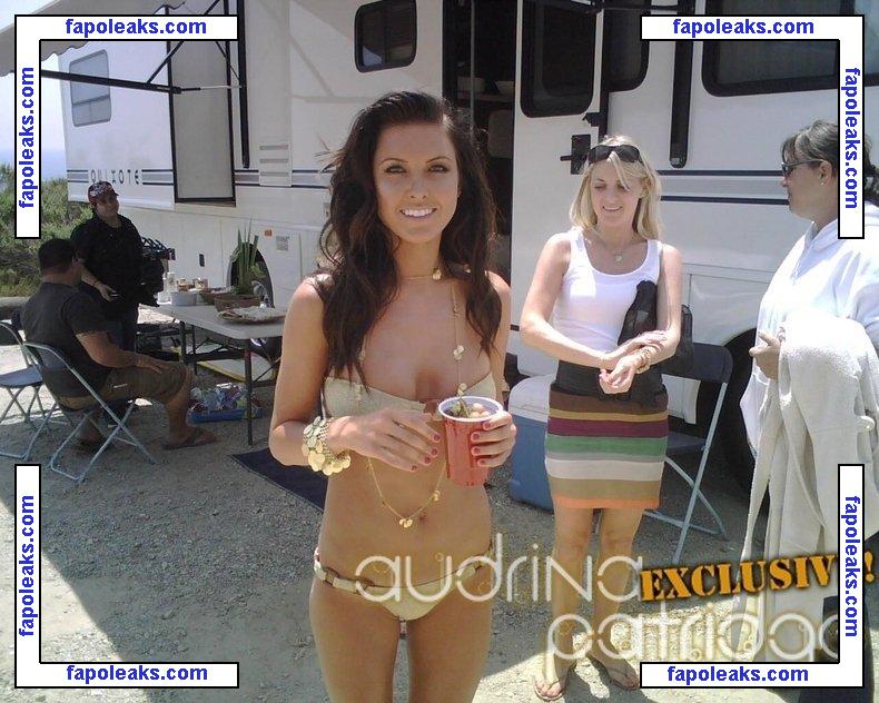 Audrina Patridge / audrinapatridge голая фото #0125 с Онлифанс