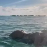 AZZY голая #0110