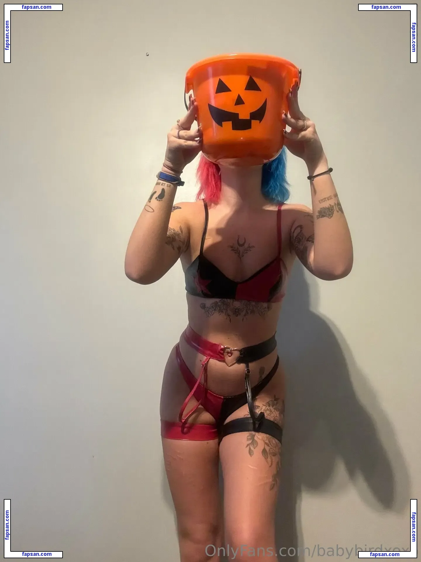 babybirdxoxo nude photo #0001 from OnlyFans