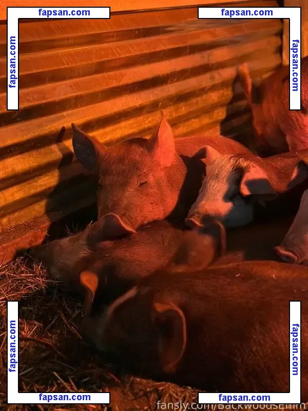 BackwoodsEmm голая фото #0018 с Онлифанс