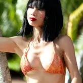 Bai Ling голая #1957