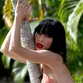 Bai Ling голая #1962