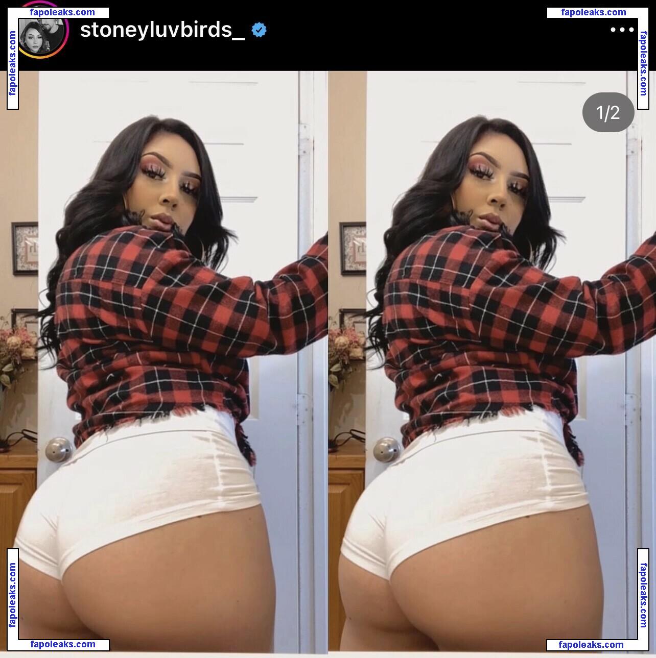 Bakedbabeeee / Evelyn Guzman / Stoneyluvbirds_ nude photo #0001 from OnlyFans