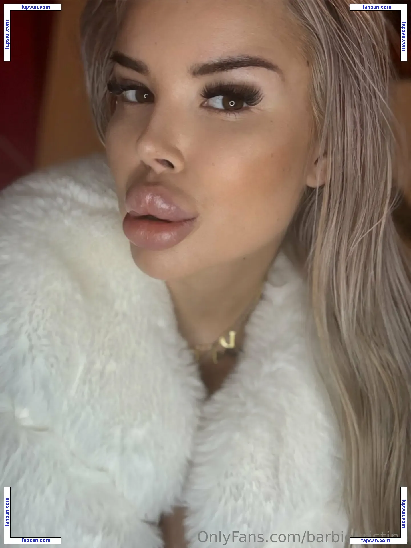 Barbiekristina nude photo #0225 from OnlyFans