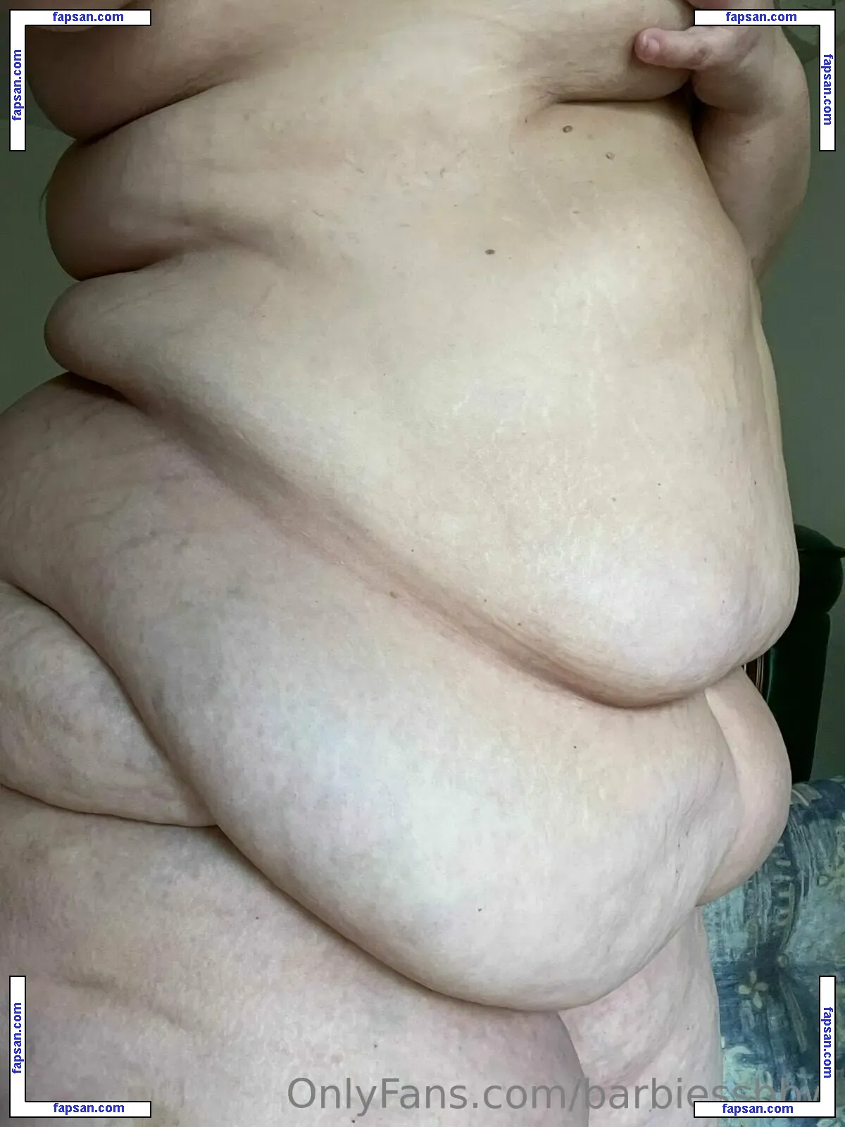 barbiessbbw nude photo #0108 from OnlyFans