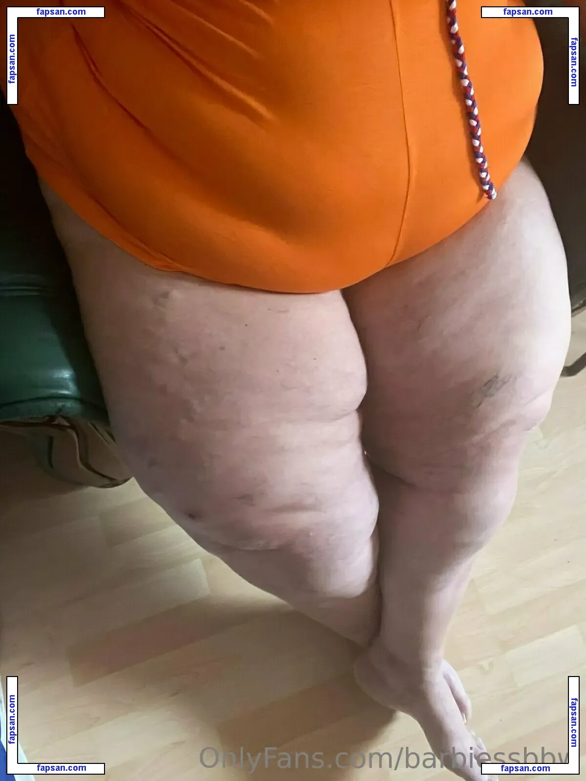 barbiessbbw nude photo #0125 from OnlyFans