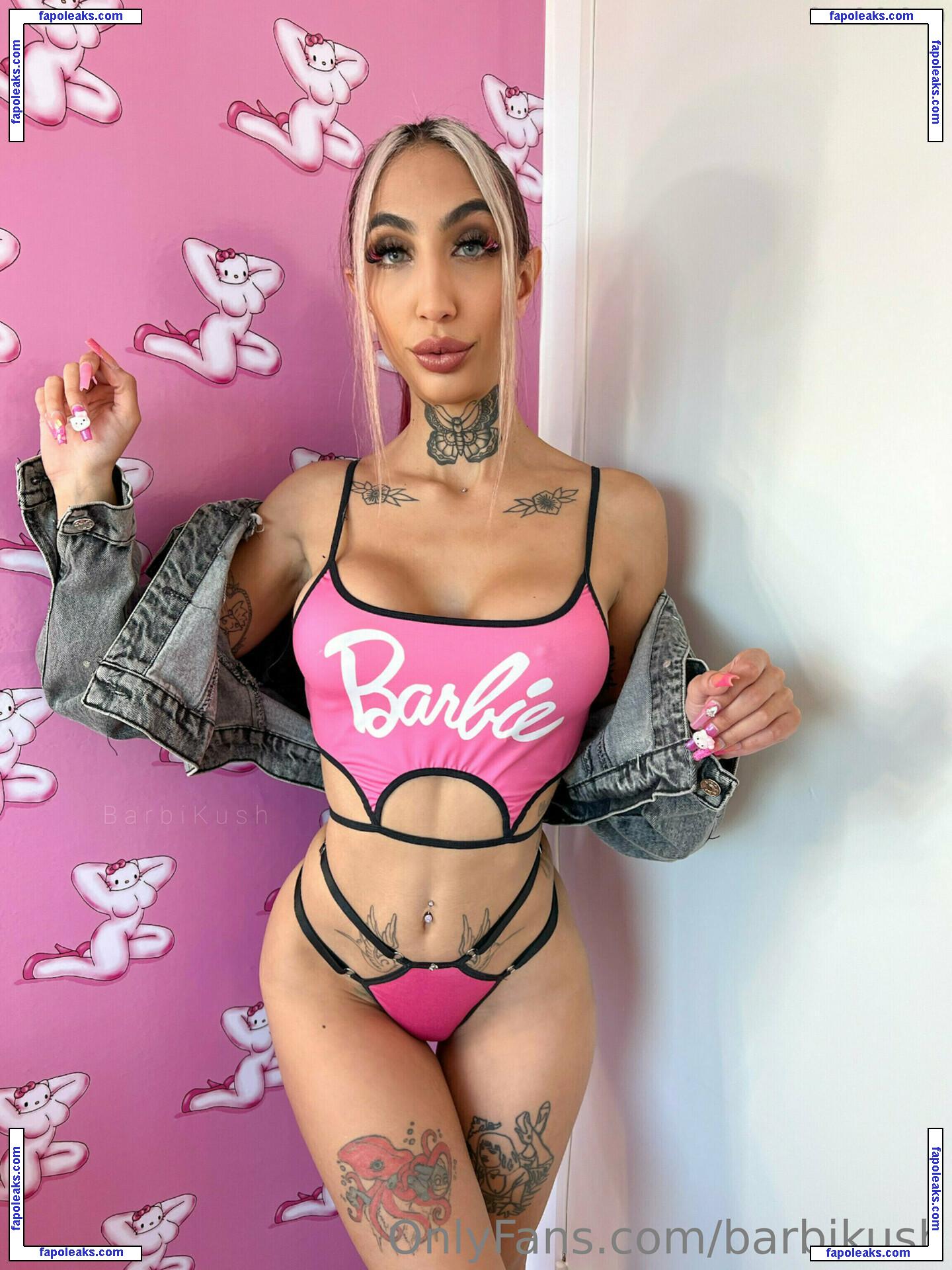 barbikush nude photo #0085 from OnlyFans