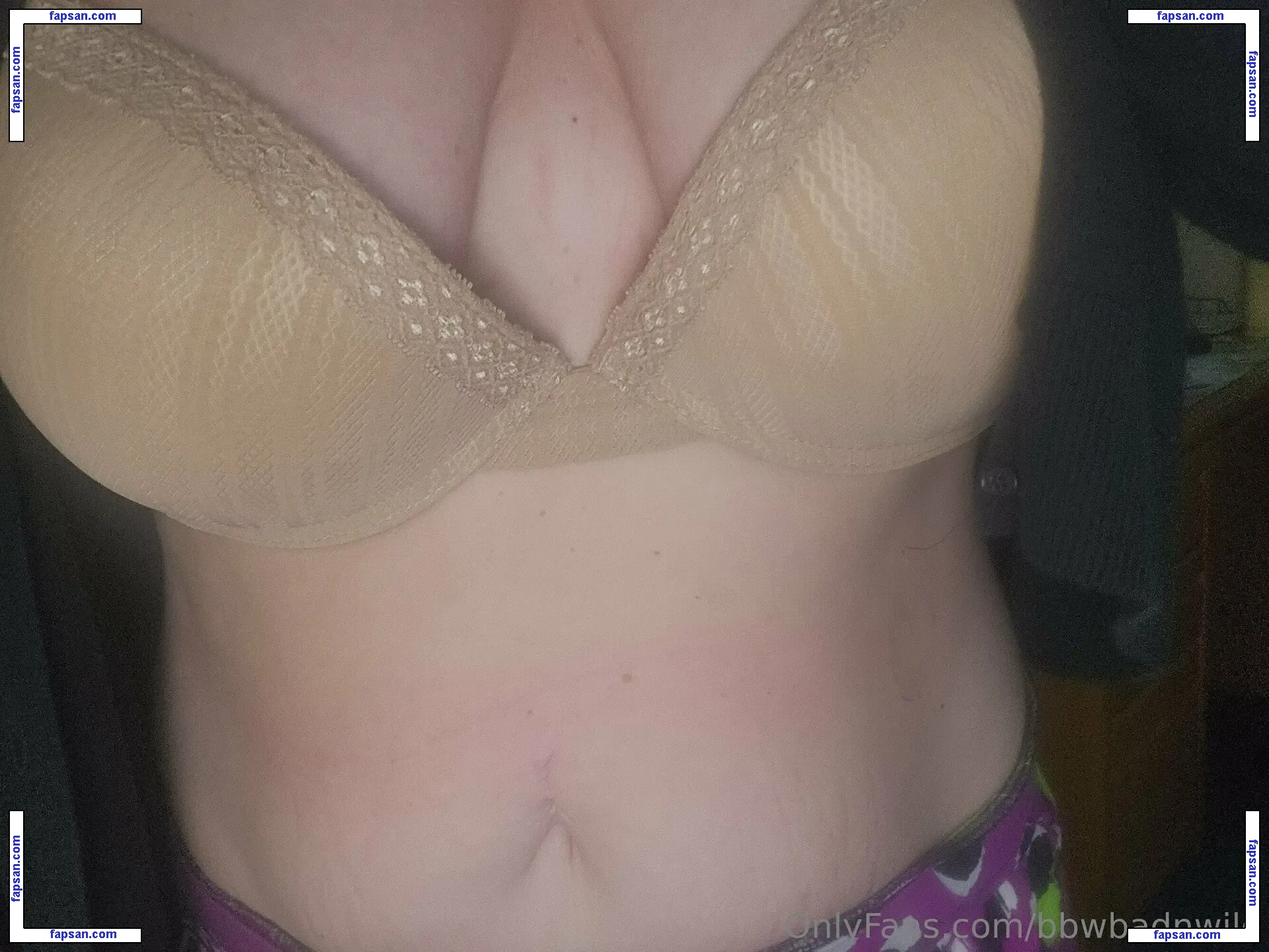 bbwbadnwild nude photo #0048 from OnlyFans