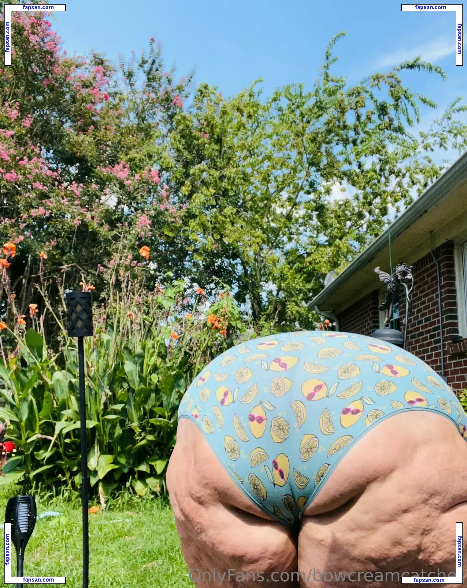 bbwcreamcatcher nude photo #0060 from OnlyFans