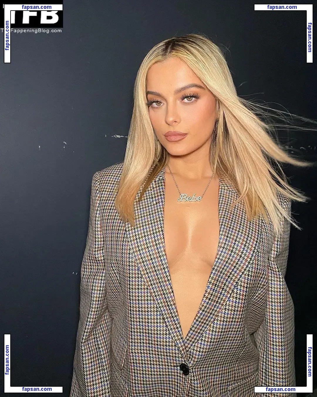 Bebe Rexha nude photo #1007 from OnlyFans