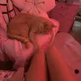 Beebee ASMR nude #0379