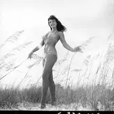 Bettie Page голая #0107