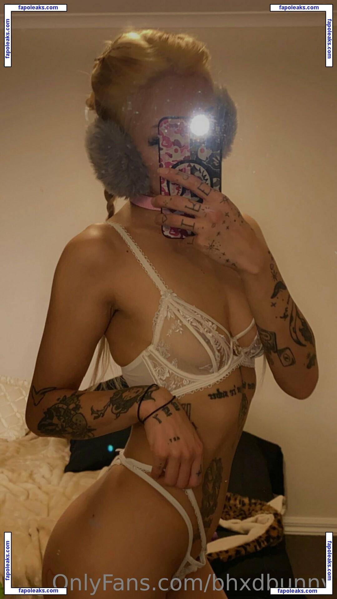 bhxdbunny / badbunnypr nude photo #0005 from OnlyFans