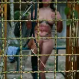 Bi0degradavel nude #0010