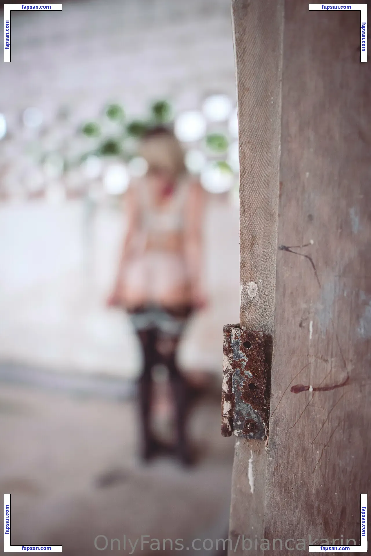 Bianca Karina голая фото #0965 с Онлифанс