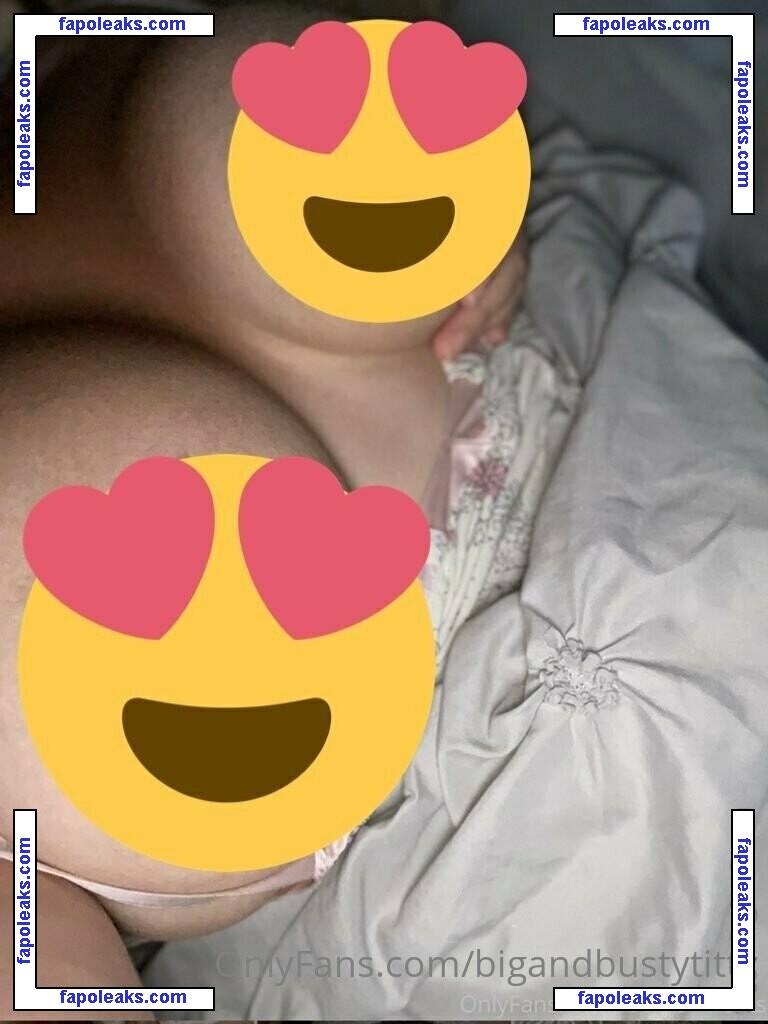 bigandbustytitty nude photo #0011 from OnlyFans