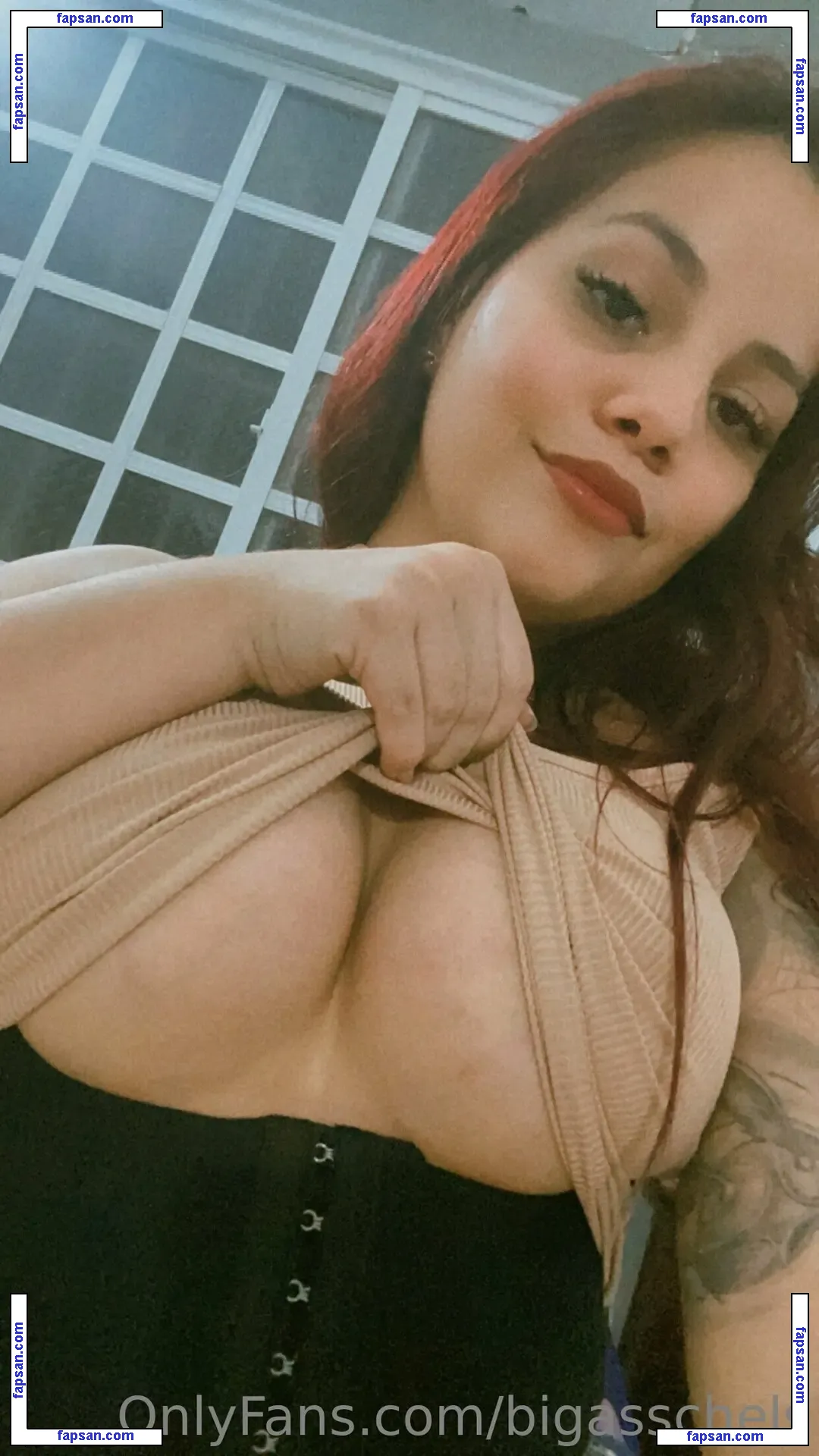 bigasschels nude photo #0433 from OnlyFans