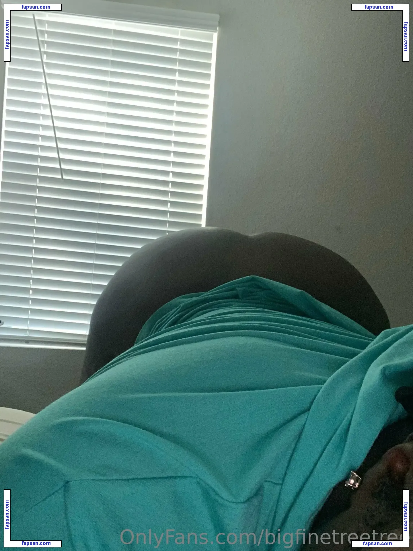 bigfinetreetree nude photo #0003 from OnlyFans