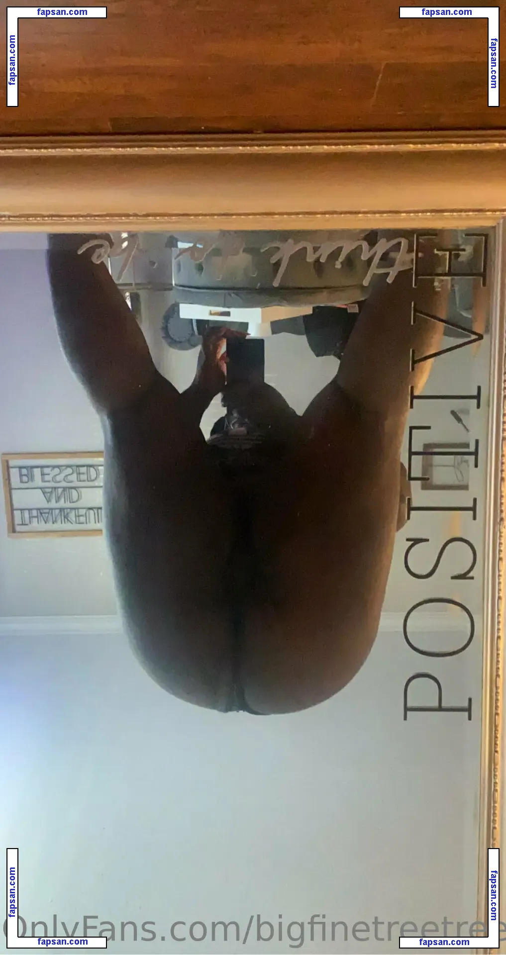 bigfinetreetree nude photo #0006 from OnlyFans
