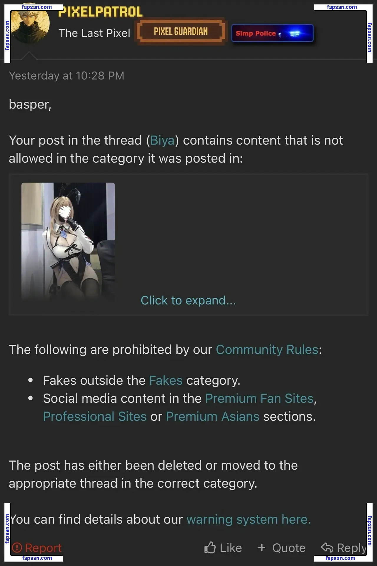 biya1024 nude photo #0040 from OnlyFans