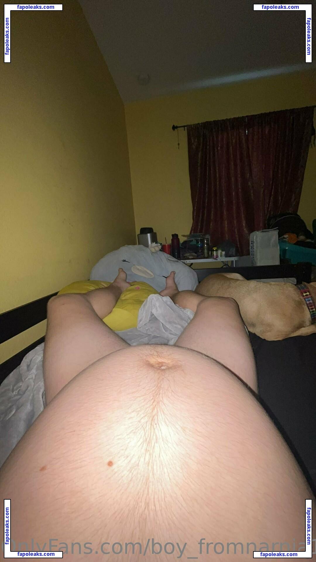 boy_fromnarnia1 / boy_friend nude photo #0005 from OnlyFans