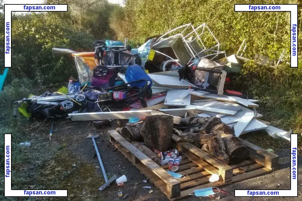 Brandi Passante голая фото #0032 с Онлифанс