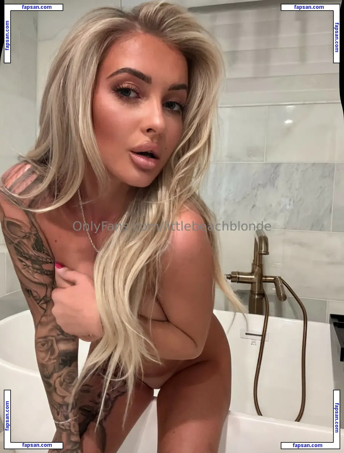 Brandi Rose nude photo #0001 from OnlyFans