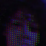 brandylicious nude #0055