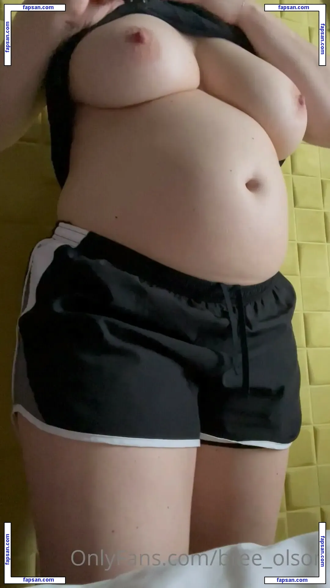 Bree Olson nude photo #0313 from OnlyFans