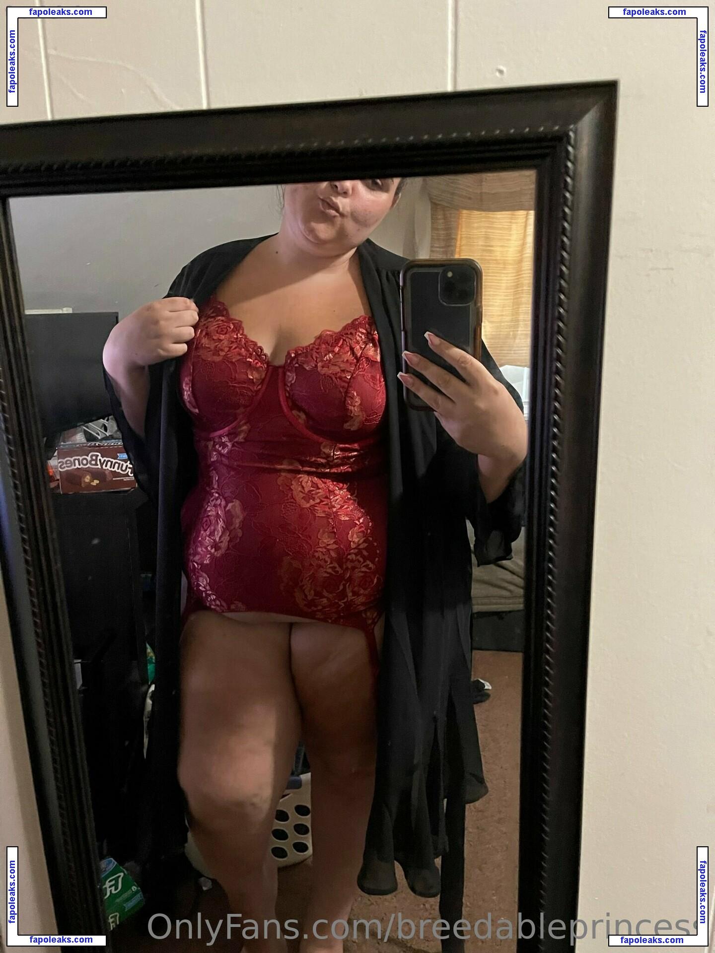 breedableprincess / pppprincess nude photo #0055 from OnlyFans