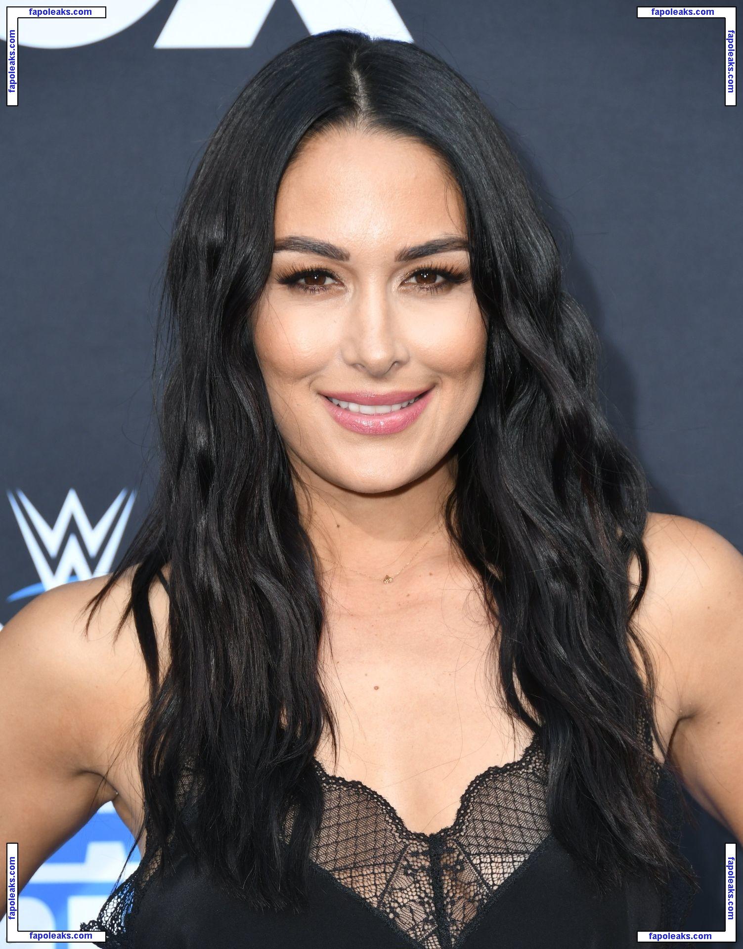 Brie Bella nude photo #0020 from OnlyFans