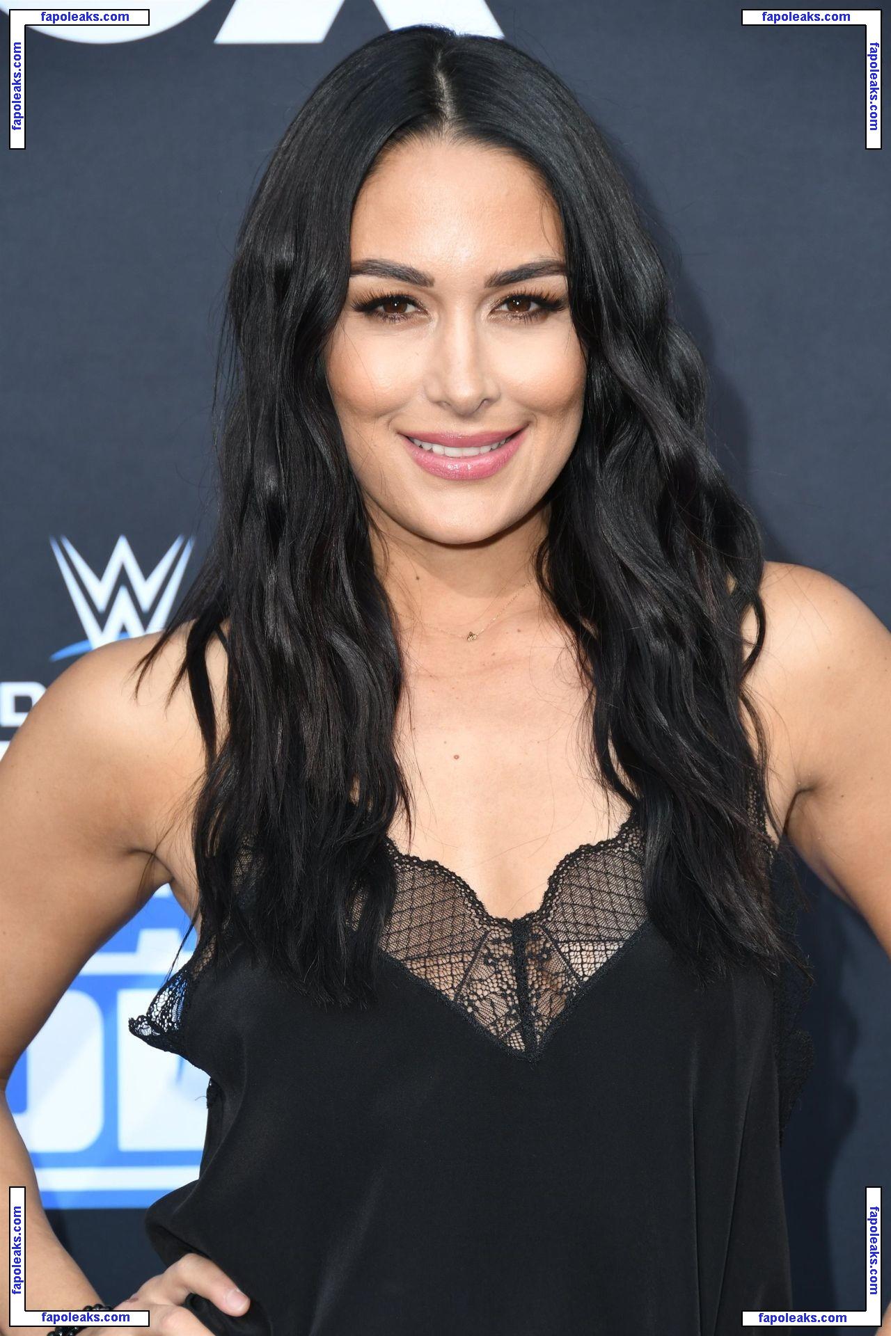 Brie Bella nude photo #0028 from OnlyFans