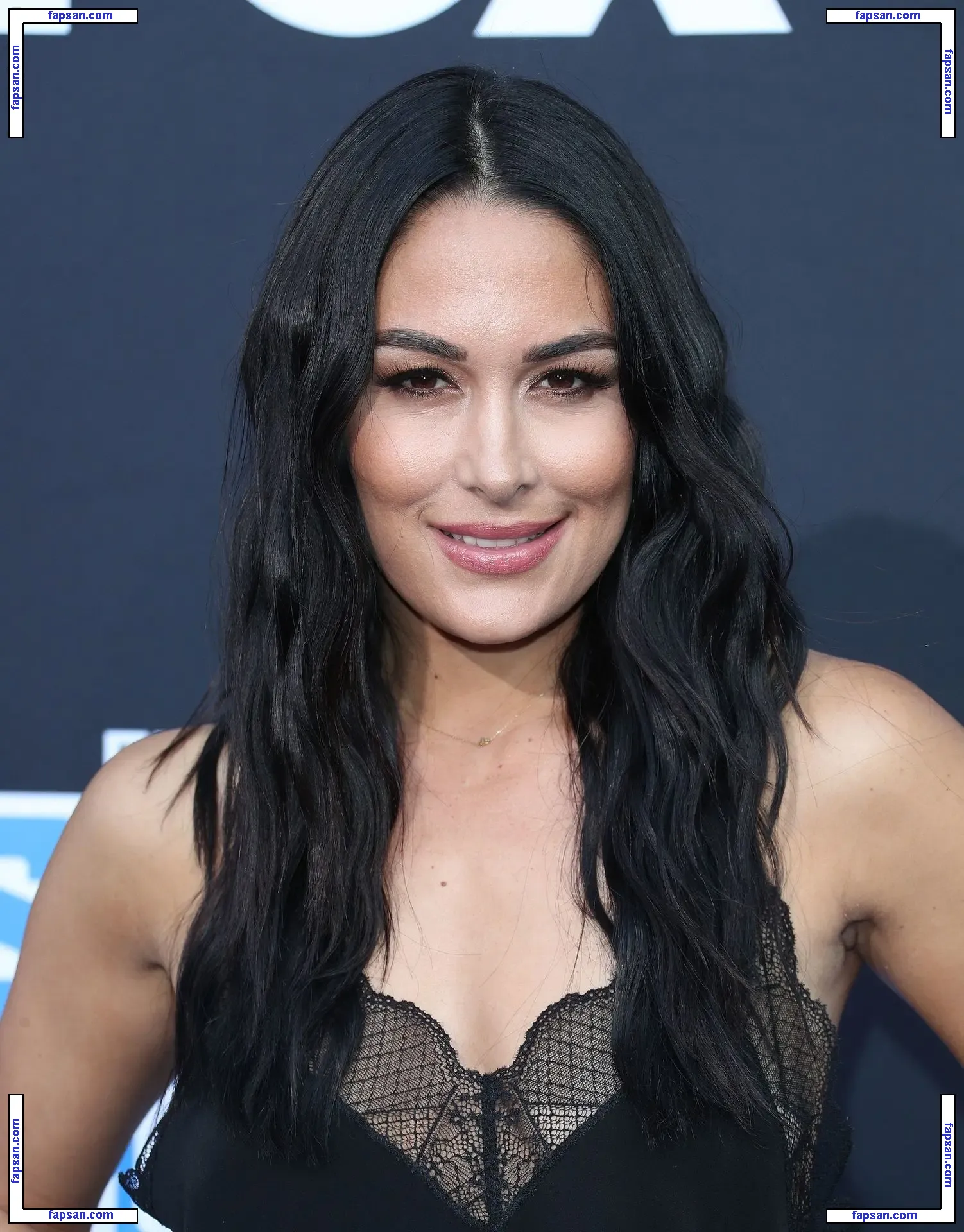 Brie Bella nude photo #0040 from OnlyFans