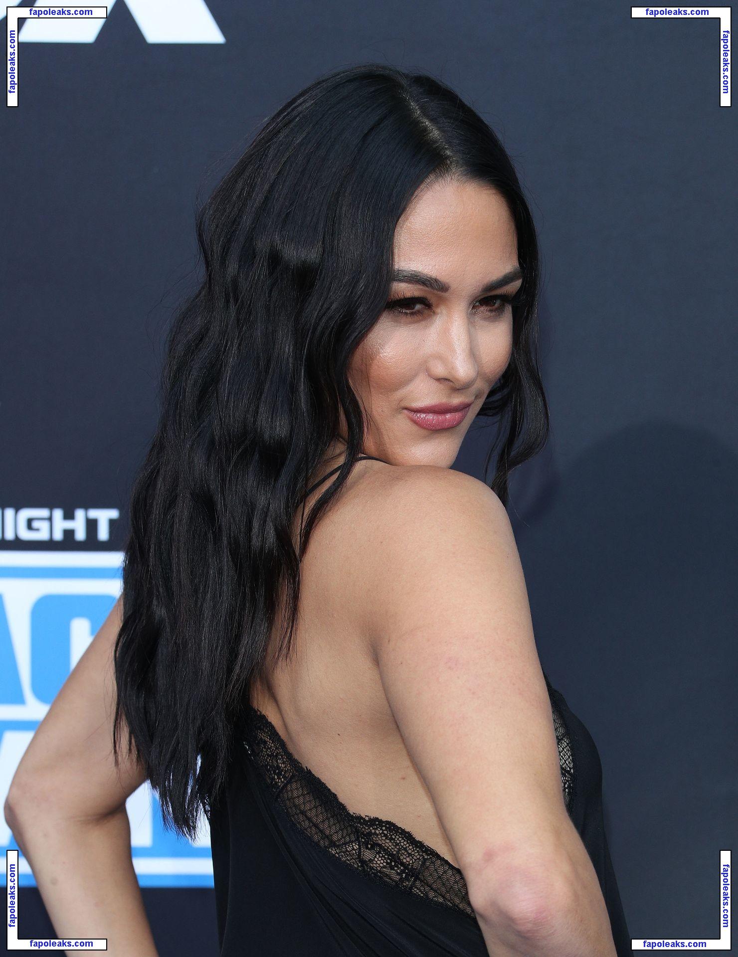 Brie Bella nude photo #0046 from OnlyFans