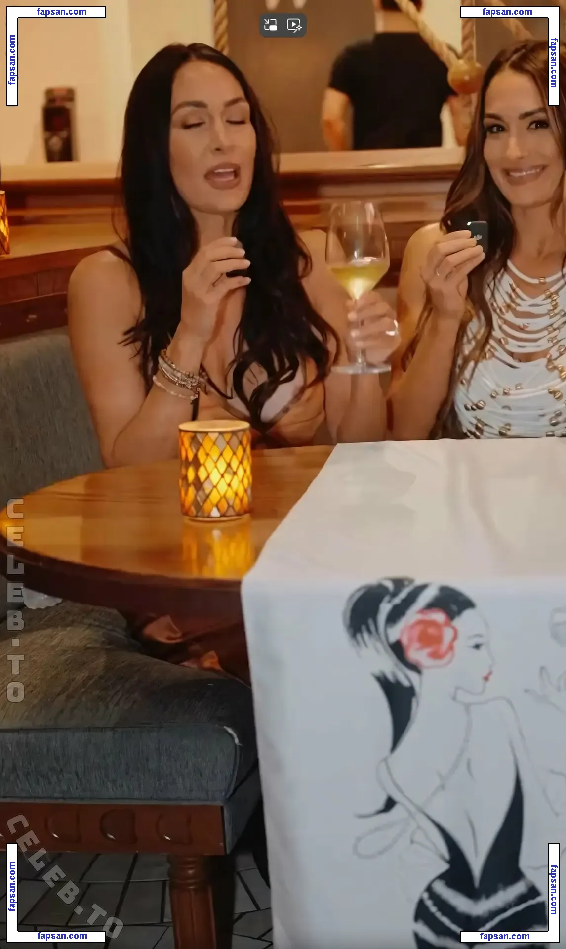 Brie Bella nude photo #0083 from OnlyFans